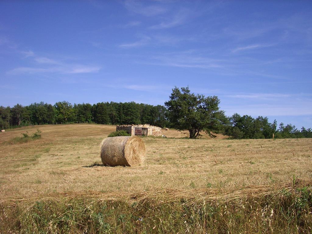 Agriturismo Bio Le Macchie Alte Manciano Extérieur photo